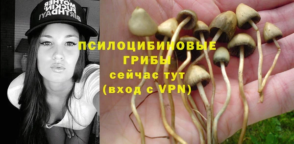 мдпв Михайловск